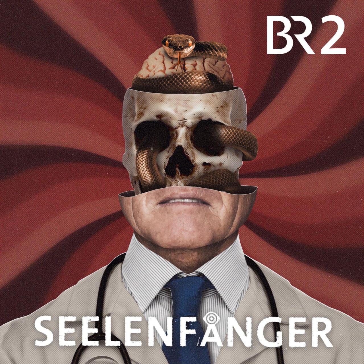 Cover: Seelenfänger (BR2)
